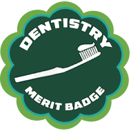 cat-scout-merit-badge-dentistry